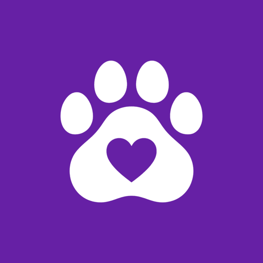 Petiqa uygulama logosu