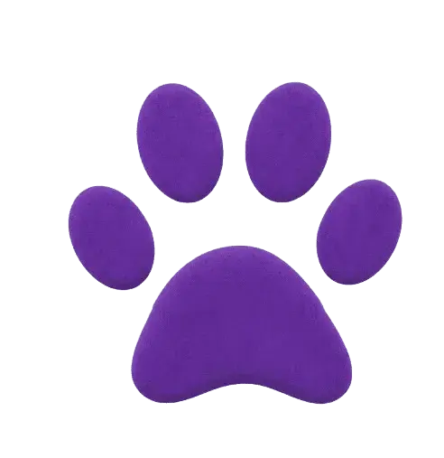 Petiqa Logo