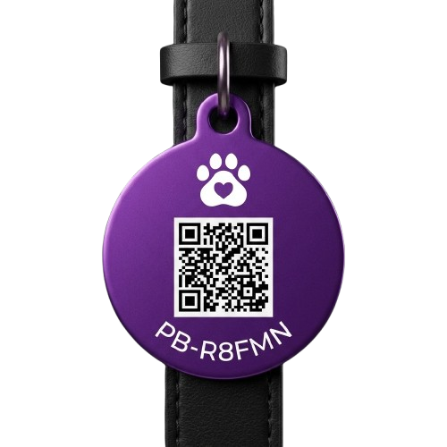Petiqa Akıllı QR Tasma Künyesi